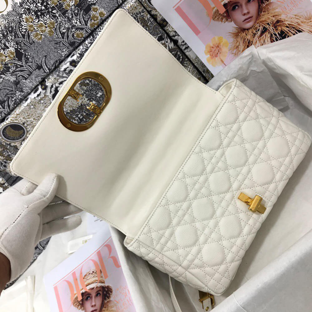 MEDIUM D10r CARO BAG